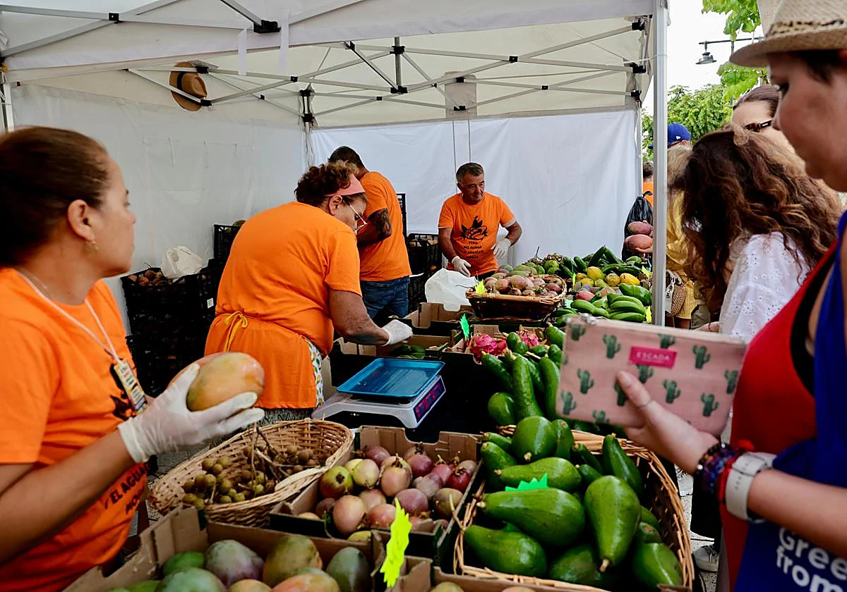 IX Feria del Mango y el Aguacate