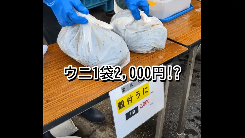 第2回北海道豊かな海づくり大会 in ほくと