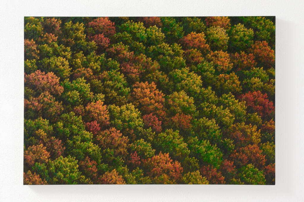 Mostra “Eden” di Franco Passalacqua