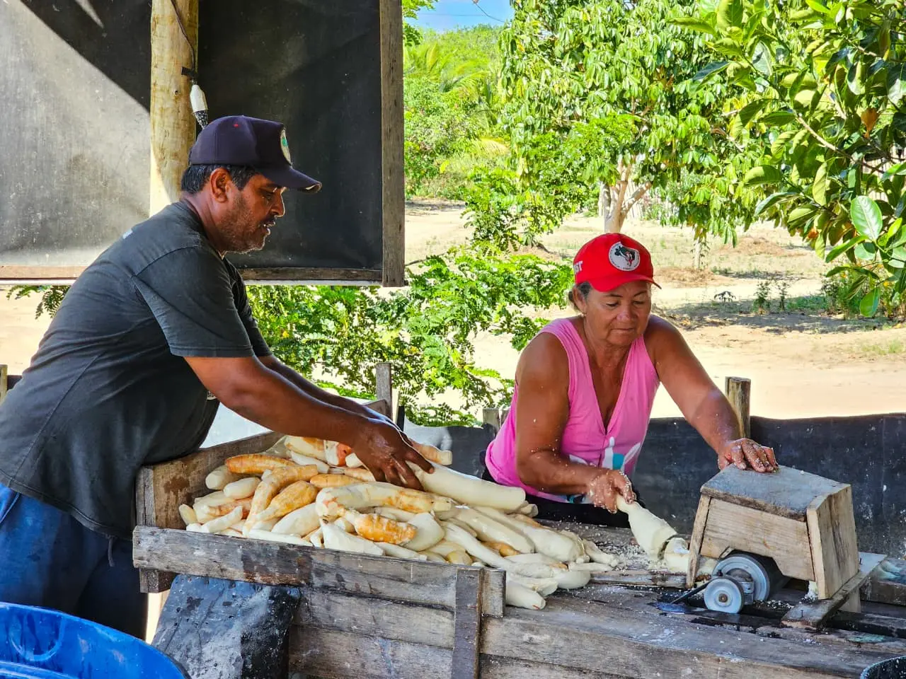 25ª Feira da Reforma Agrária e Festival do MST: Por Terra, Arte e Pão!