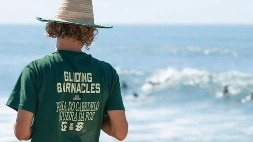 Festival Gliding Barnacles