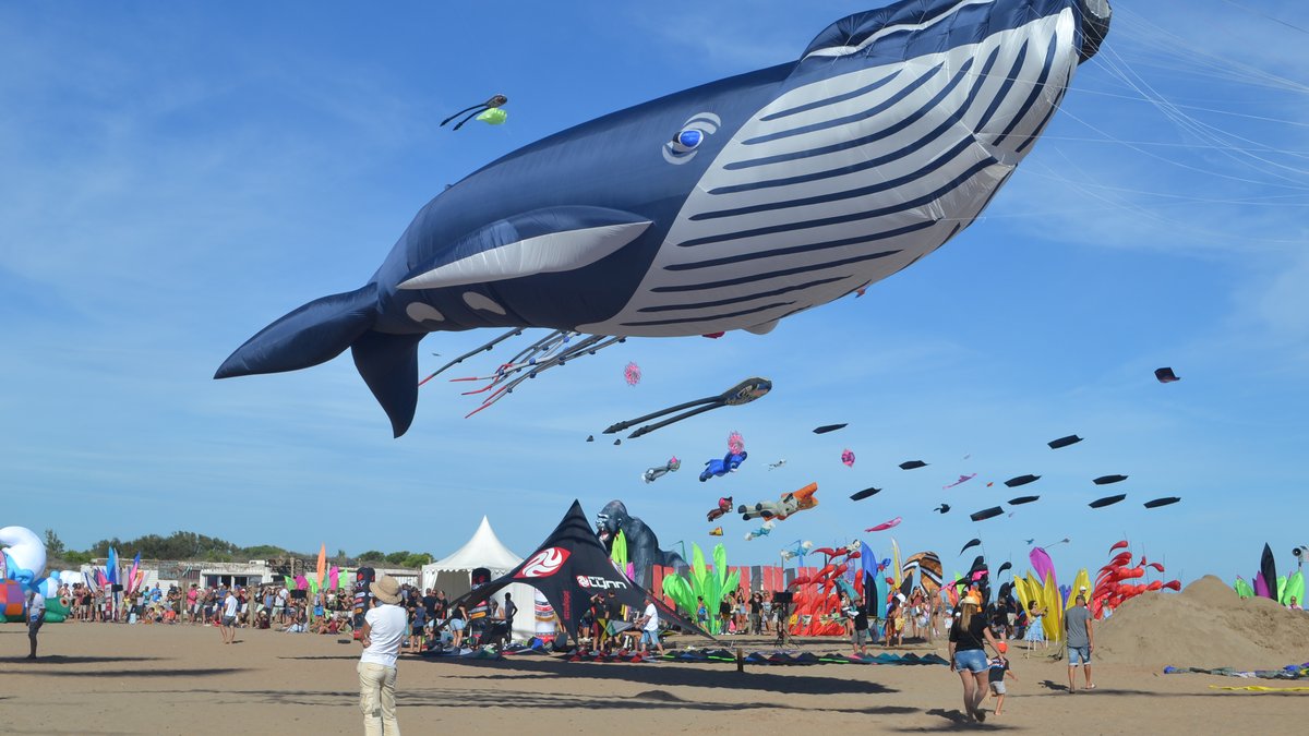 Festival du vent de Portiragnes