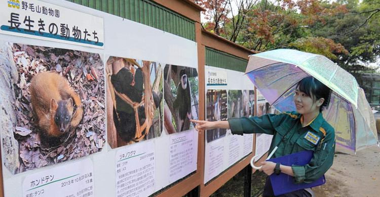 動物感謝祭