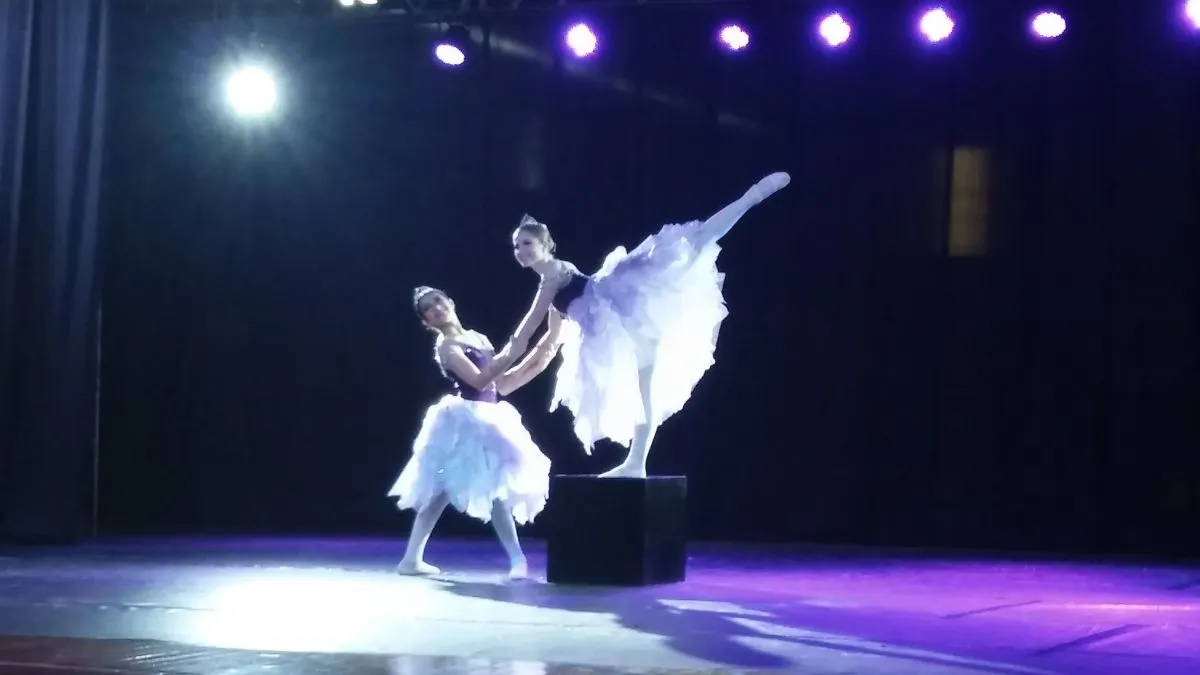 Festival de Danzas del Mercosur