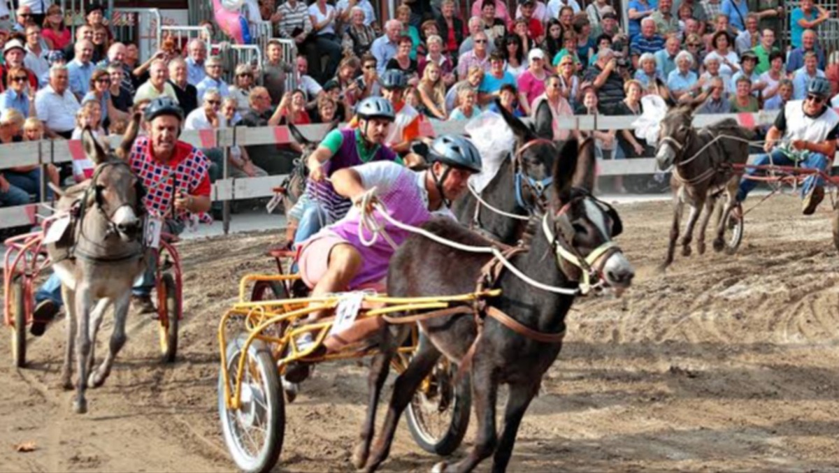 136ª edizione dei Festeggiamenti Settembrini
