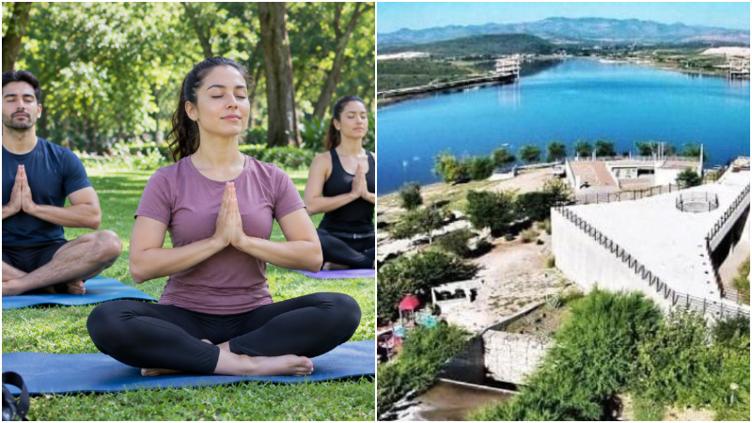 Wellness Day
