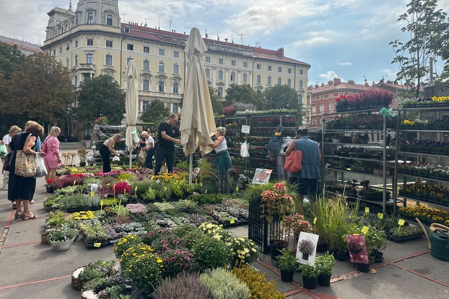 Jesenski sajam kod Konta