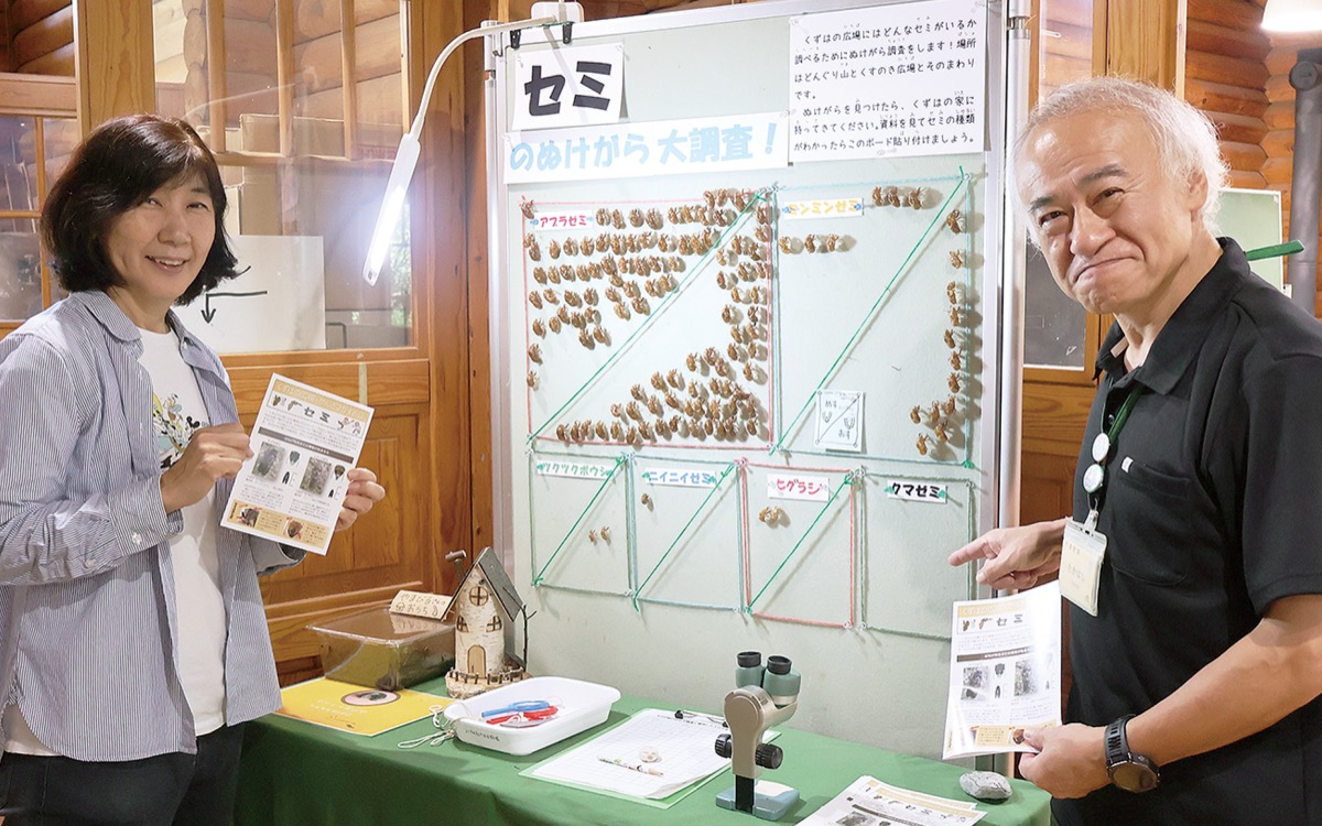セミのぬけがら大調査