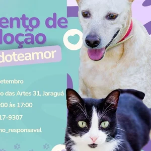 Feira de Adoção Focinho Responsável