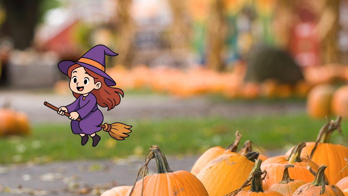 Pumpkin Fest México