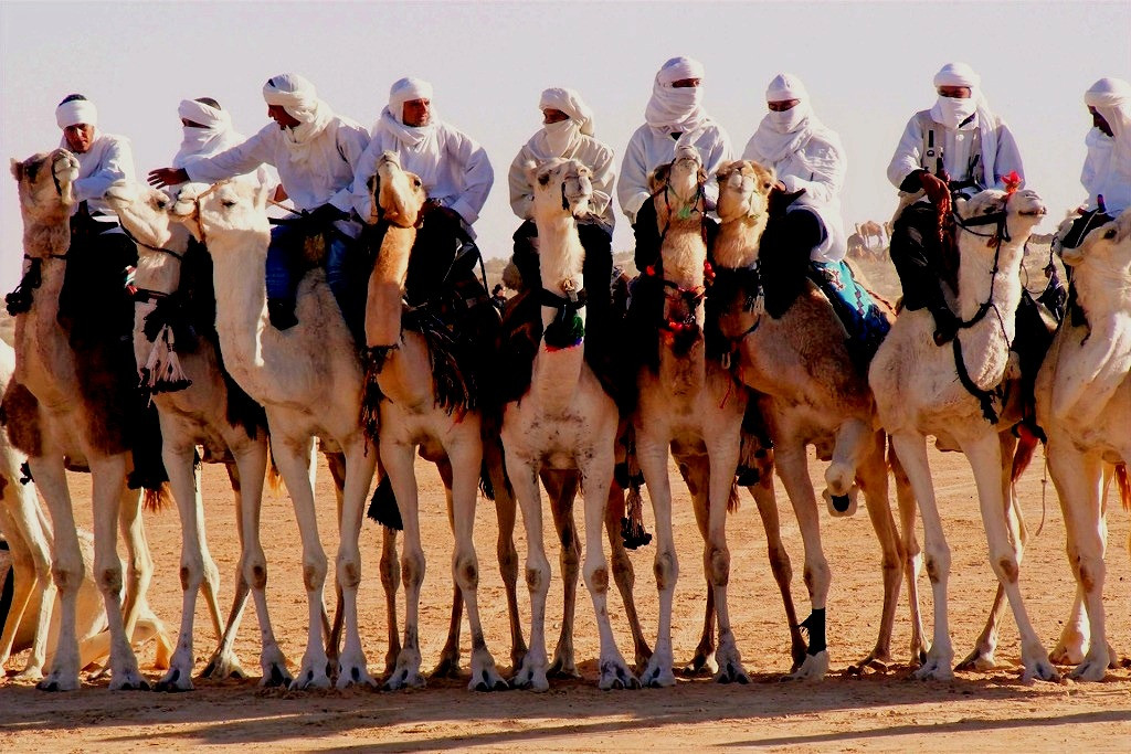 Festival international du Sahara