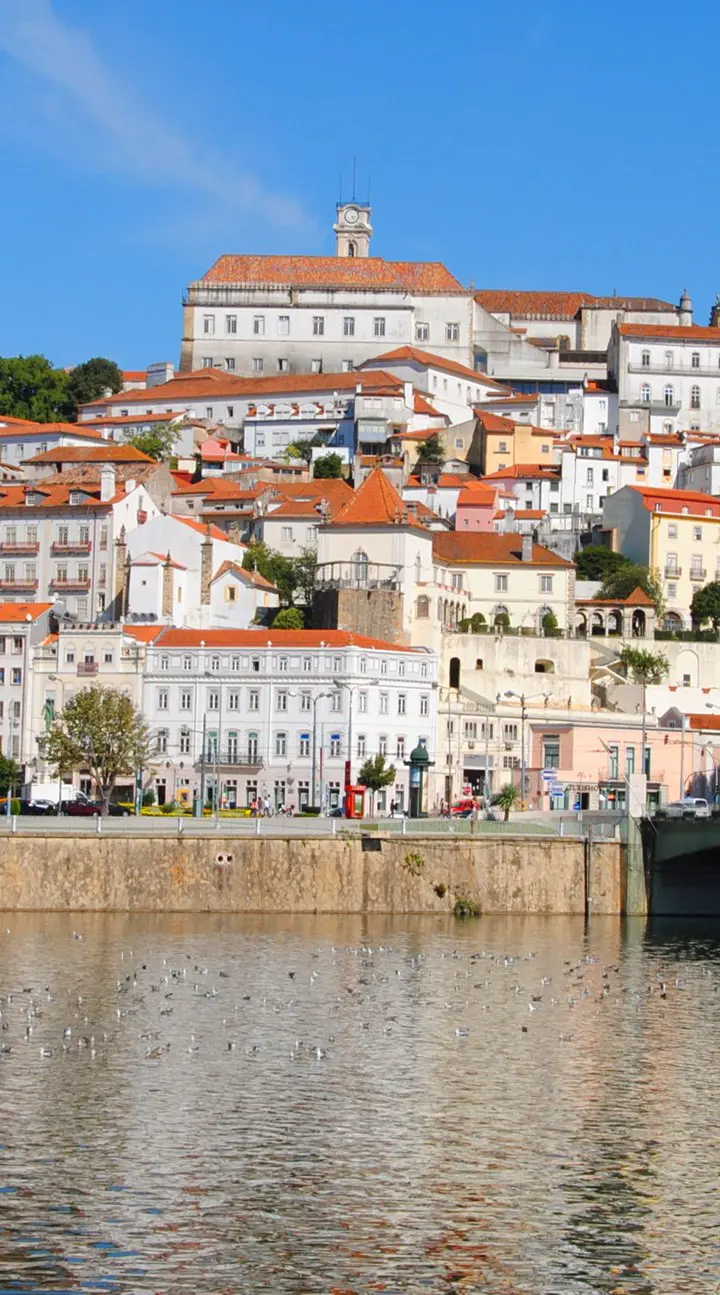 Festival Internacional de Magia de Coimbra – Encontros Mágicos
