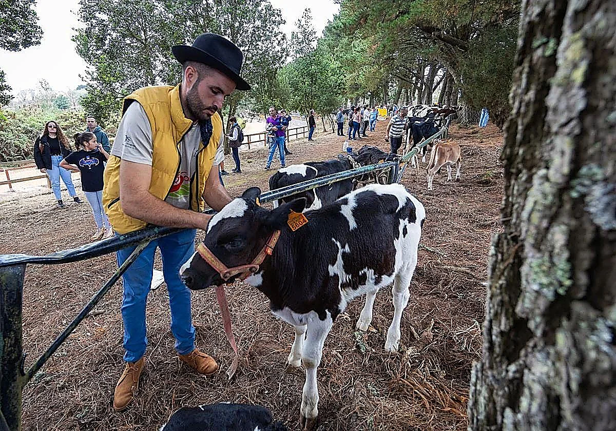 Fiestas de Nuestra Señora de La Encarnación y La Manzana