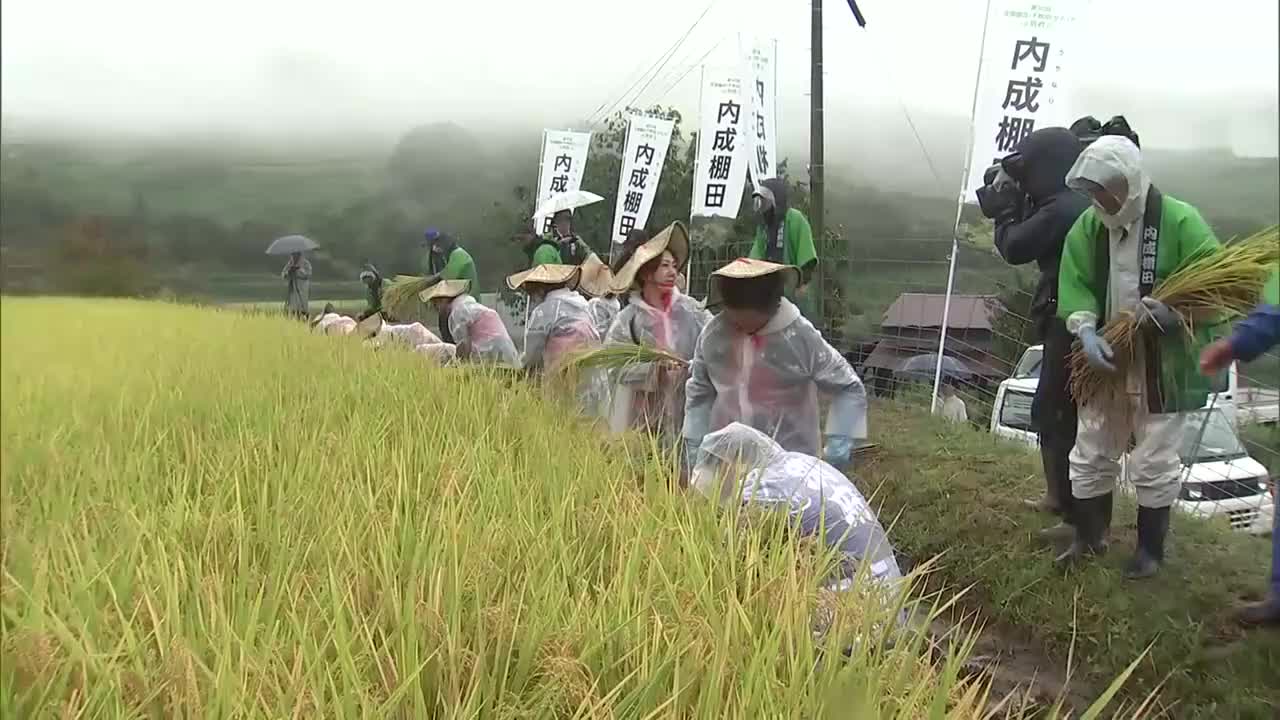 抜穂式