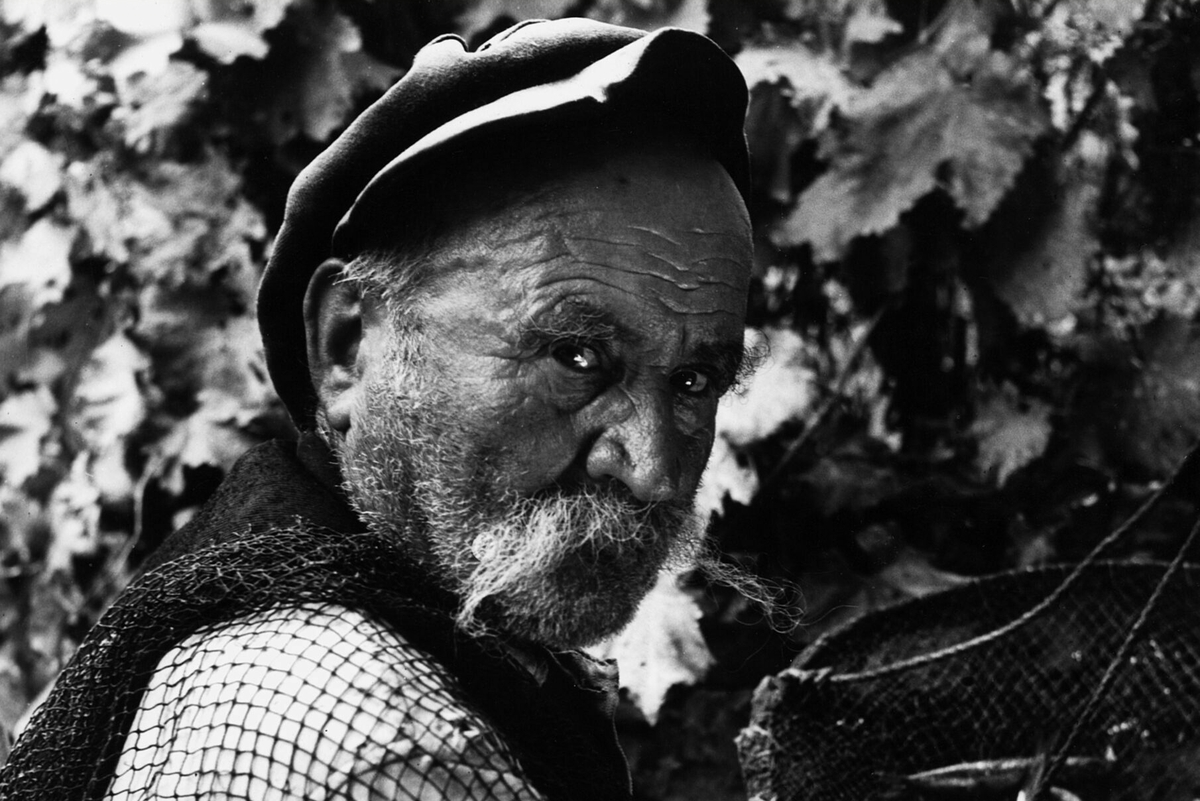 Velikani hrvatske fotografije 50-ih