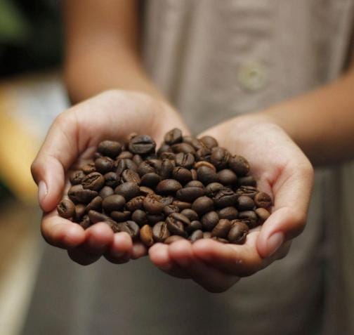 Arábica Coffee Festival 2026