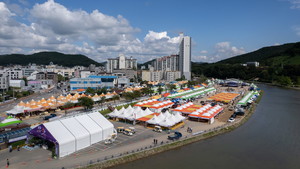 27th Cheongyang Chili Pepper and Goji Berry Festival