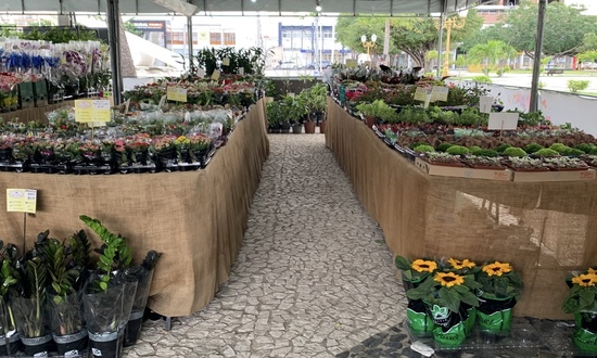 Feira de Flores de Holambra
