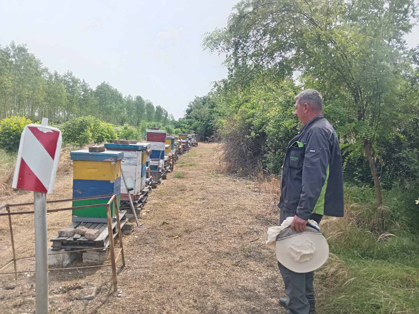 57. Sabor pčelara i poljoprivrednika „Devojački Bunar 2026“