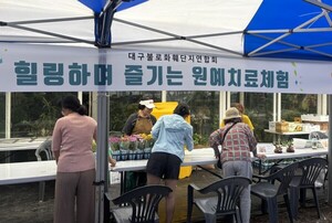 제18차 불로화훼 가을꽃 축제