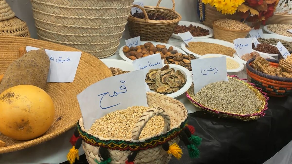 Sudanese Festival