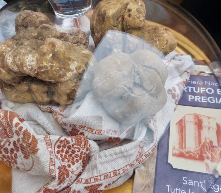 42ª Fiera Nazionale del Tartufo Bianco Pregiato di Sant’Agata Feltria