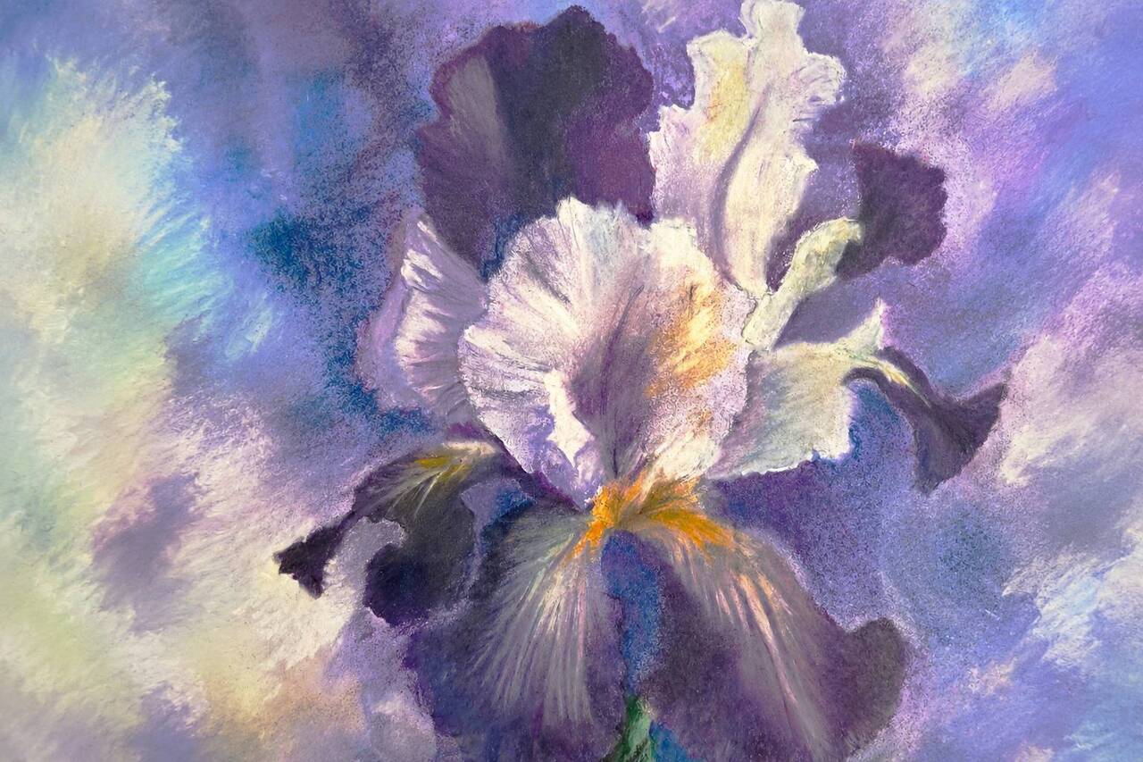 Colorful Touch of Summer Exhibition