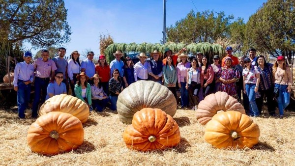 Festival de Otoño de los campos menonitas