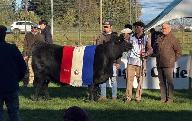 Primera Expo Nacional Angus 2026