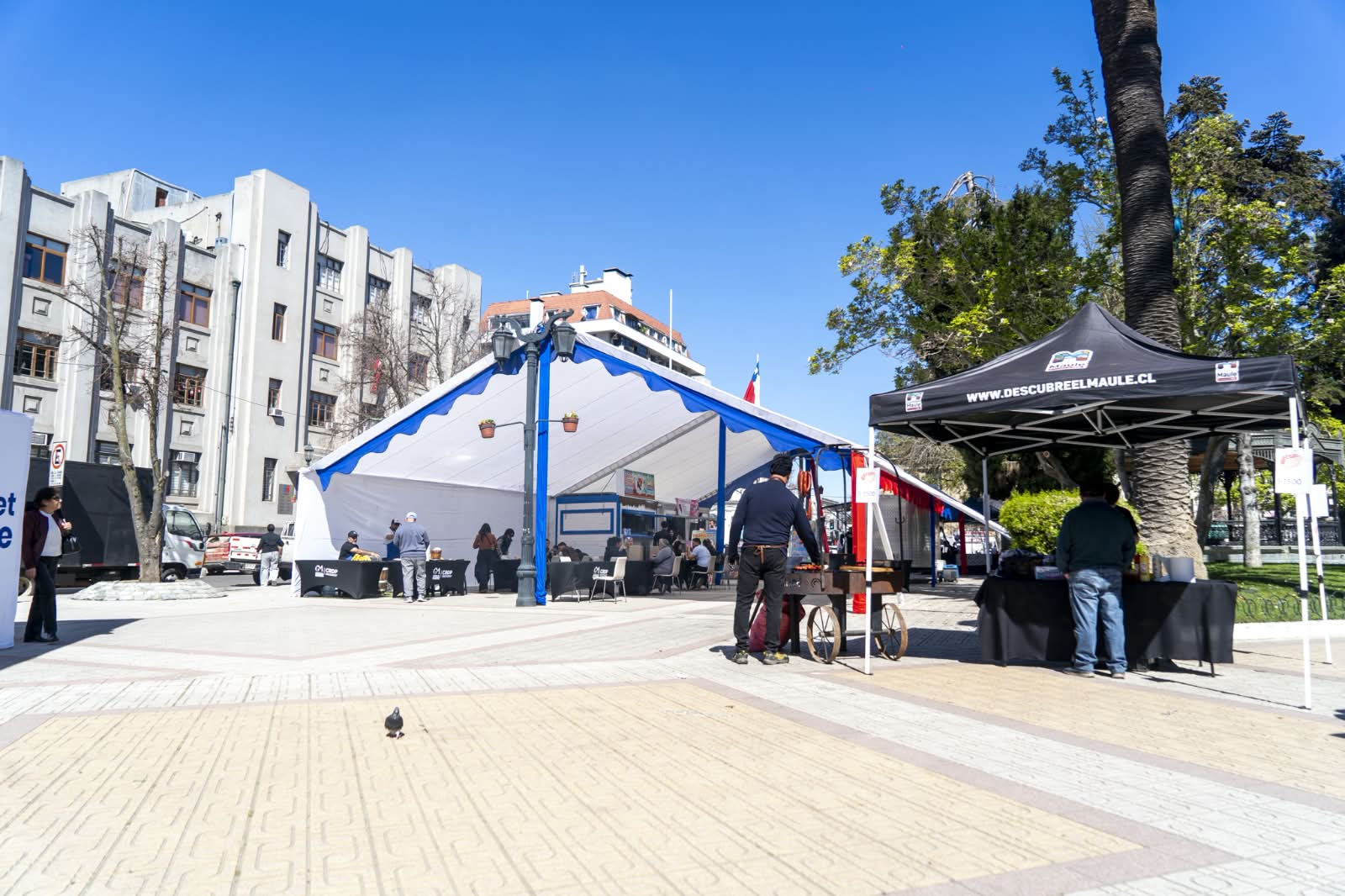 Expo Brindemos por el Maule
