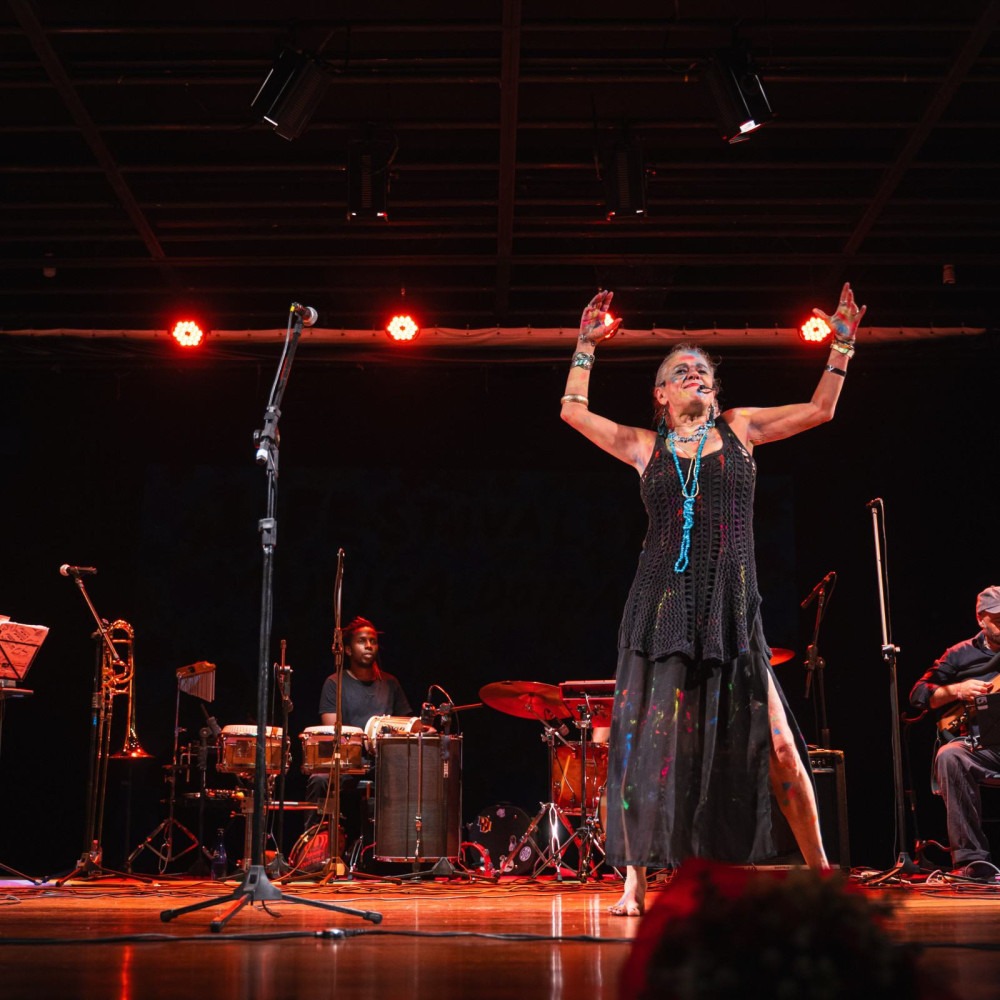 3º Festival de Música Doida