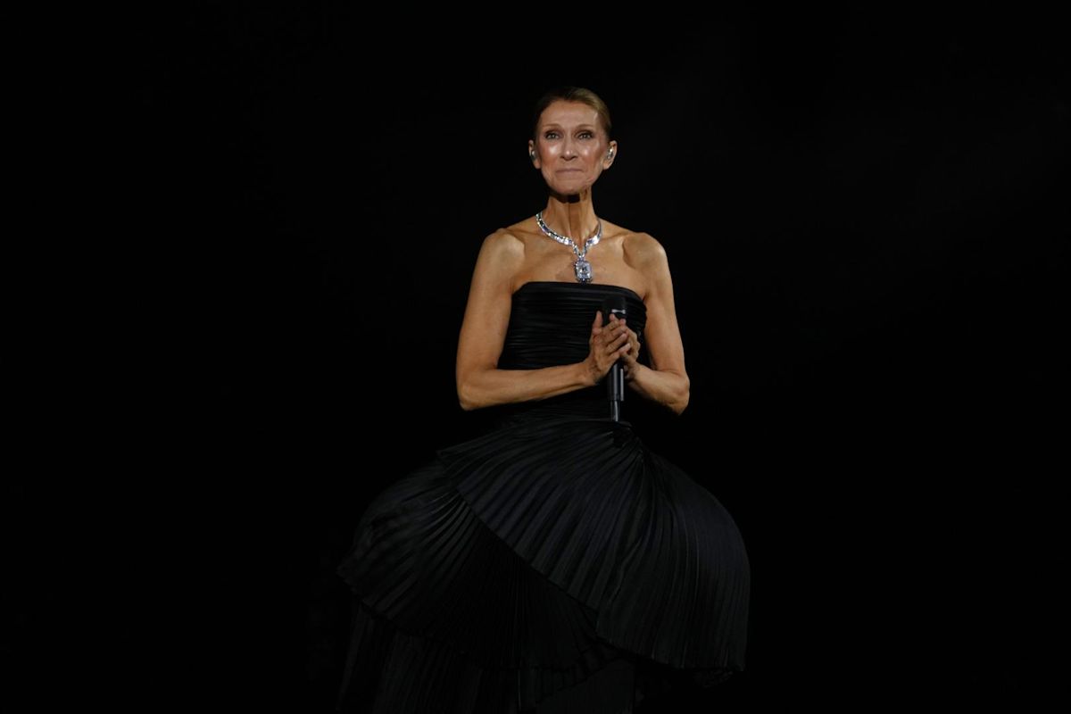 Celine Dion concert