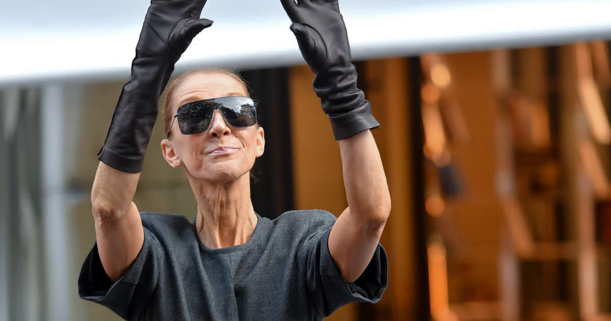 Concert de Céline Dion