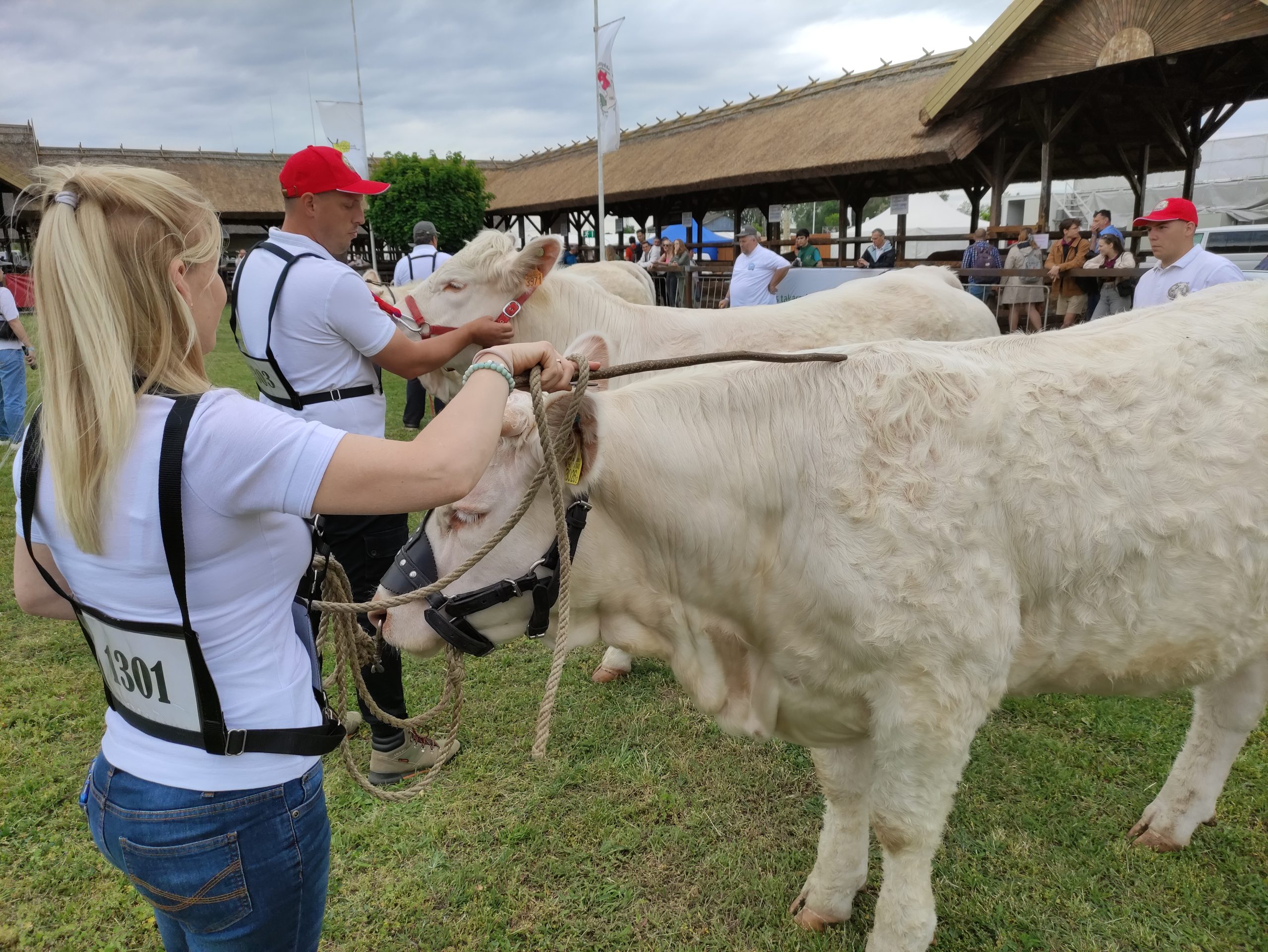 HÓD EXPO 2027 – 33. Alföldi Állattenyésztési és Mezőgazda Napok