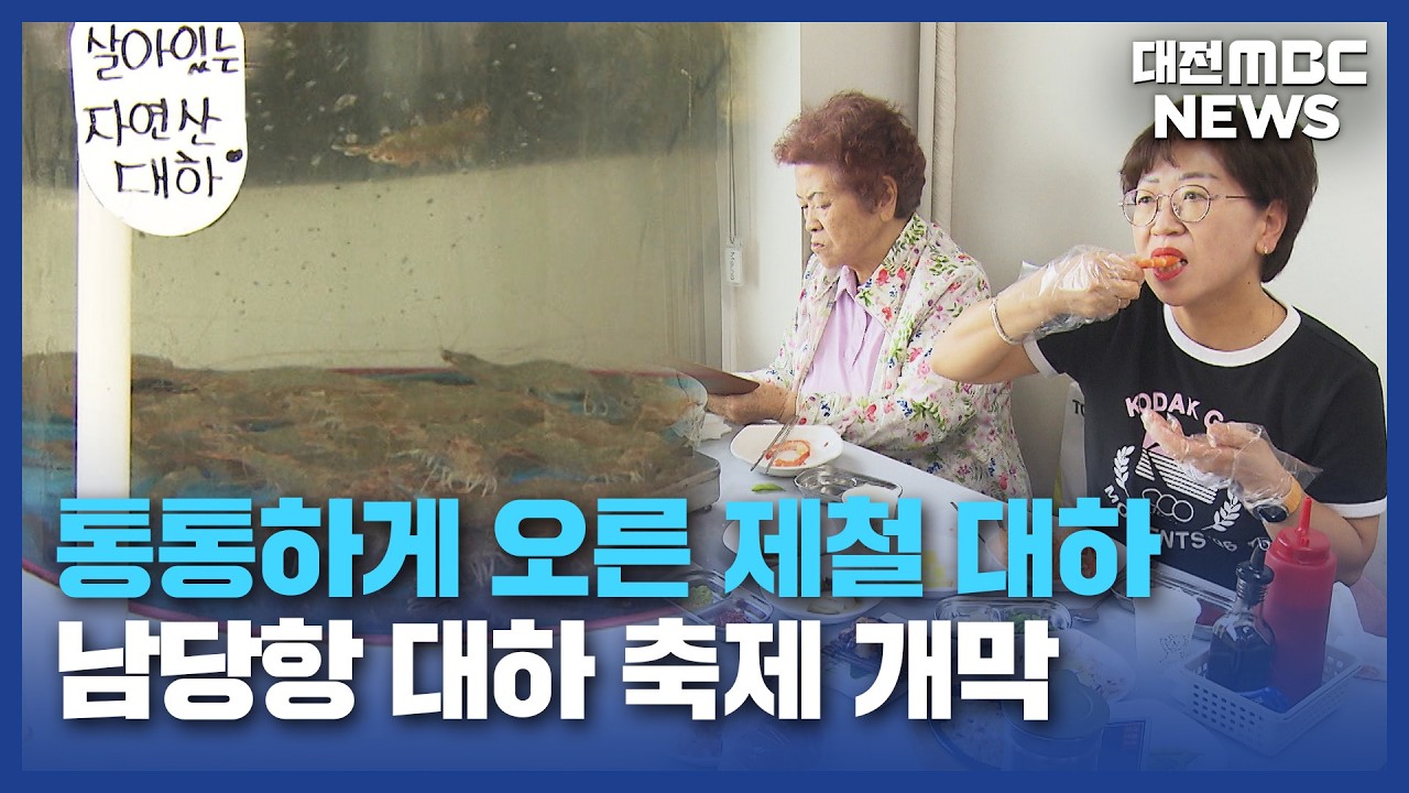 Hongseong Namdanghang Shrimp Festival