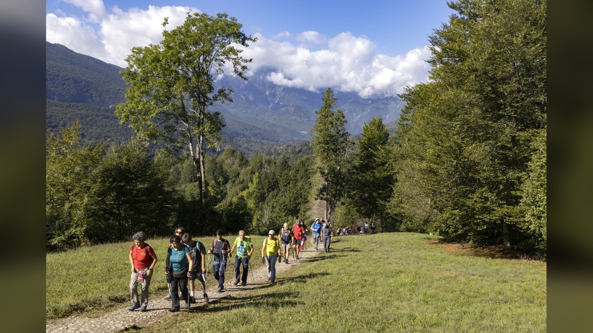 Festival delle Dolomiti Friulane, Cavallo e Cansiglio