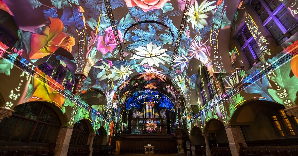 Immersive Lichtshow Genesis