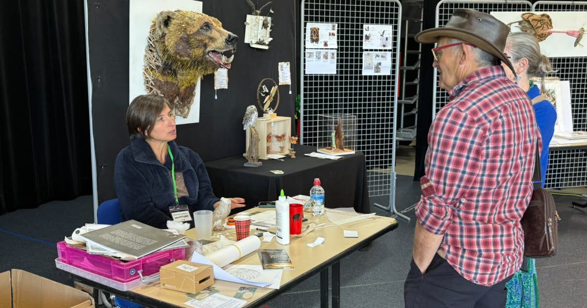Festival Terre nature et +