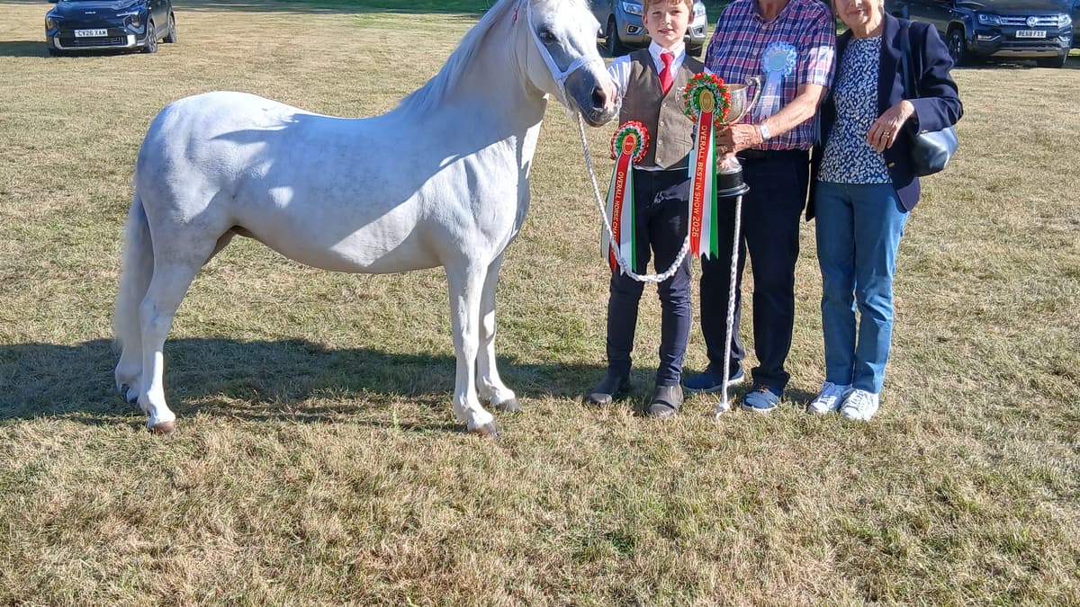 Llanddewi Brefi Show