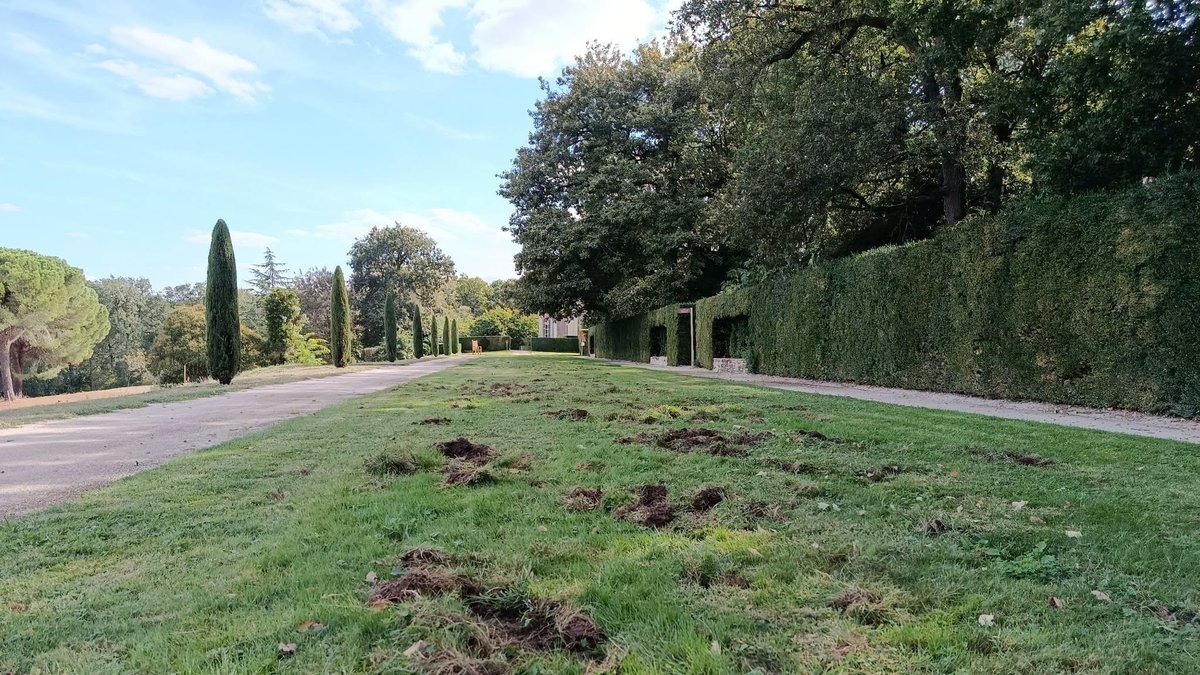 Journées du patrimoine