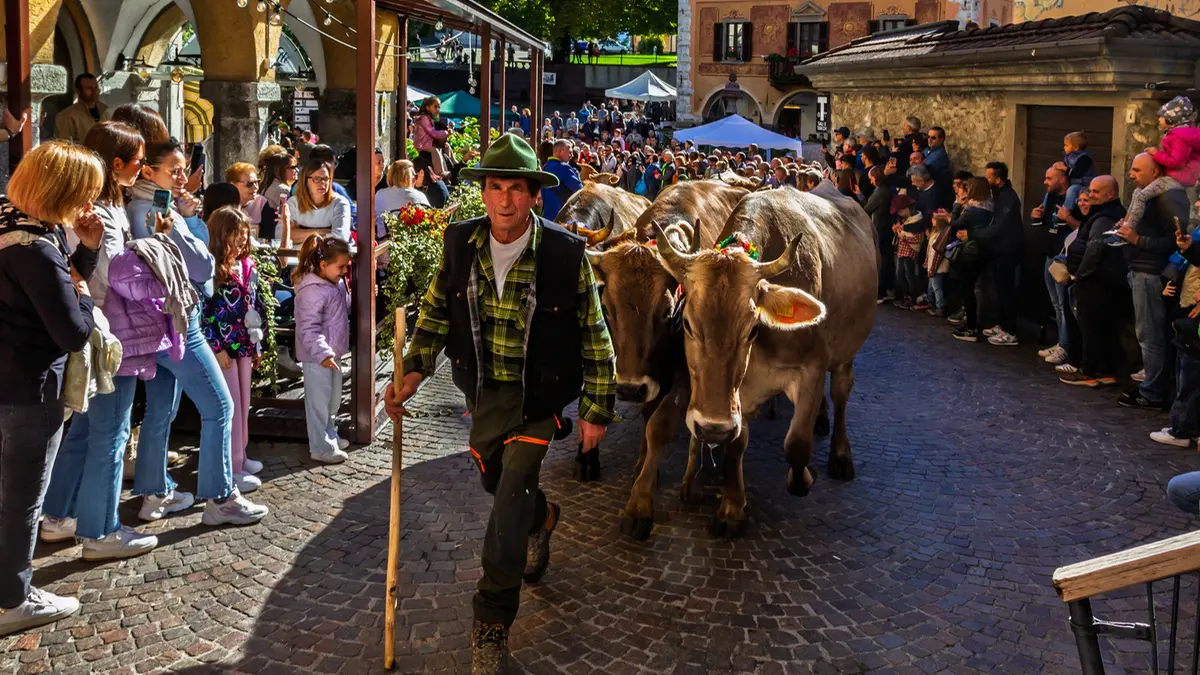 Festa della Transumanza a Borno