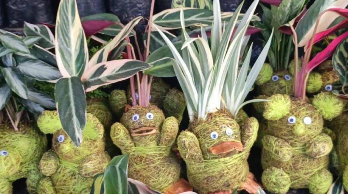 Festival de las Flores y las Plantas