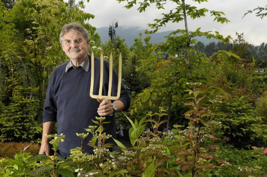 Art of Science: Seasonal Gardening: Fall and Winter Colour