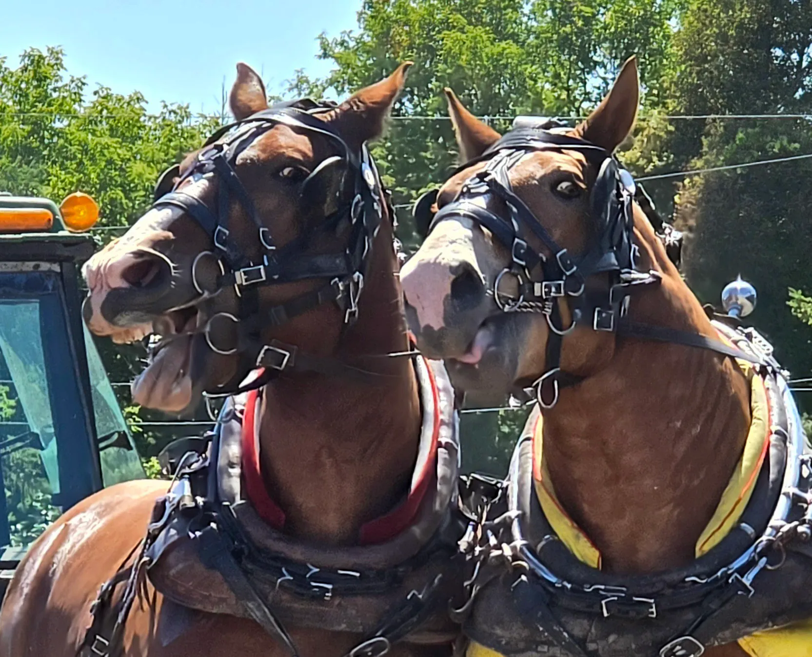 Stormont County Fair