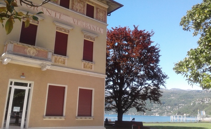 I frutti dell’Albero d’oro ’26