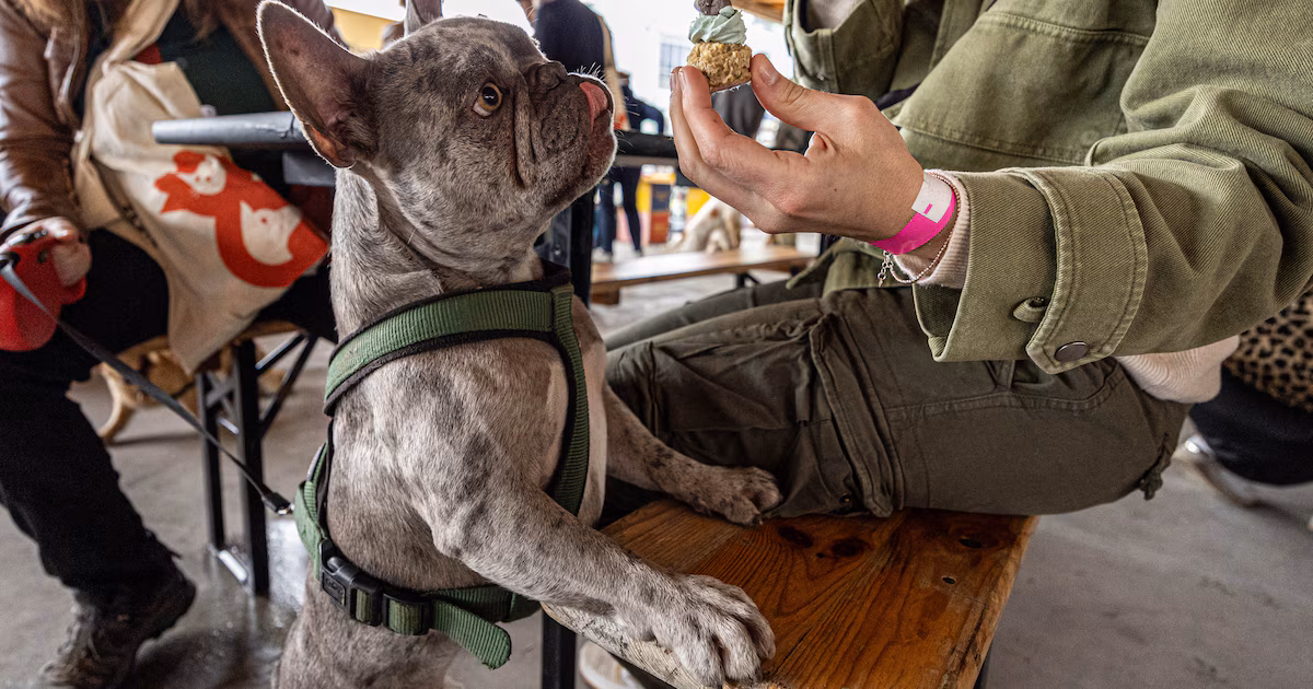 Woofstock