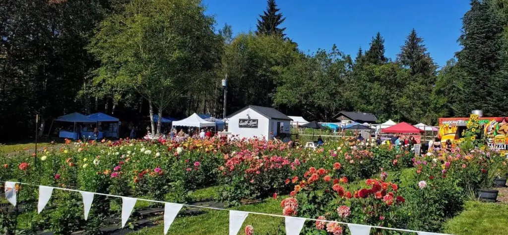 South Bank Flower Co. Fall Market and Dahlia Festival