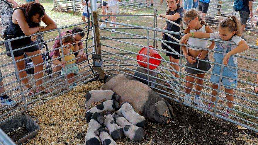 Feria Autentika de ganadería