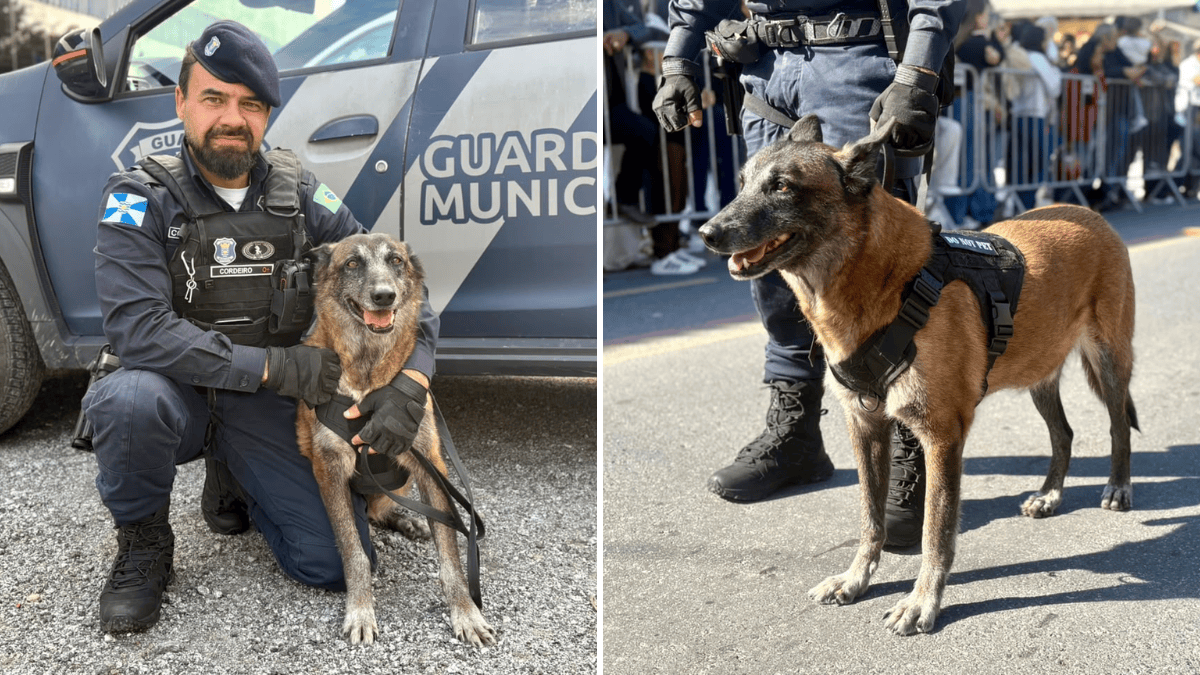 Desfile cívico de 7 de Setembro