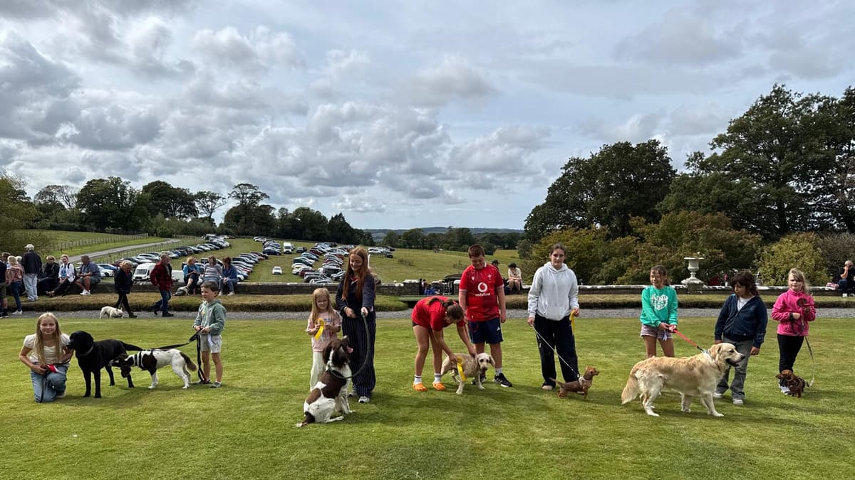 Cresselly Country Fayre